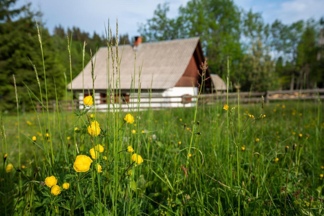 Holiday Home Srednja Vas Средня-Вас-в-Бохиню Экстерьер фото