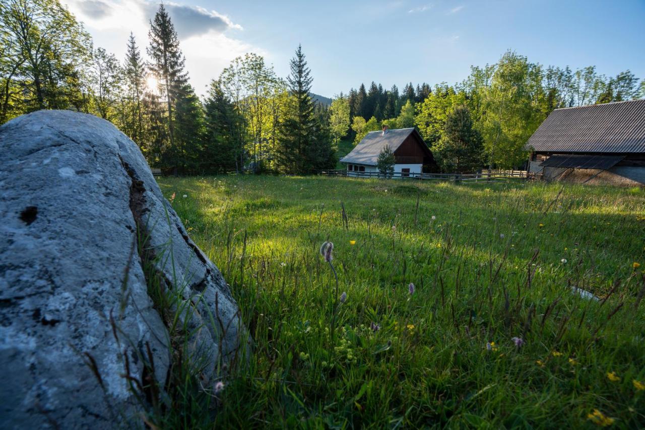 Holiday Home Srednja Vas Средня-Вас-в-Бохиню Экстерьер фото