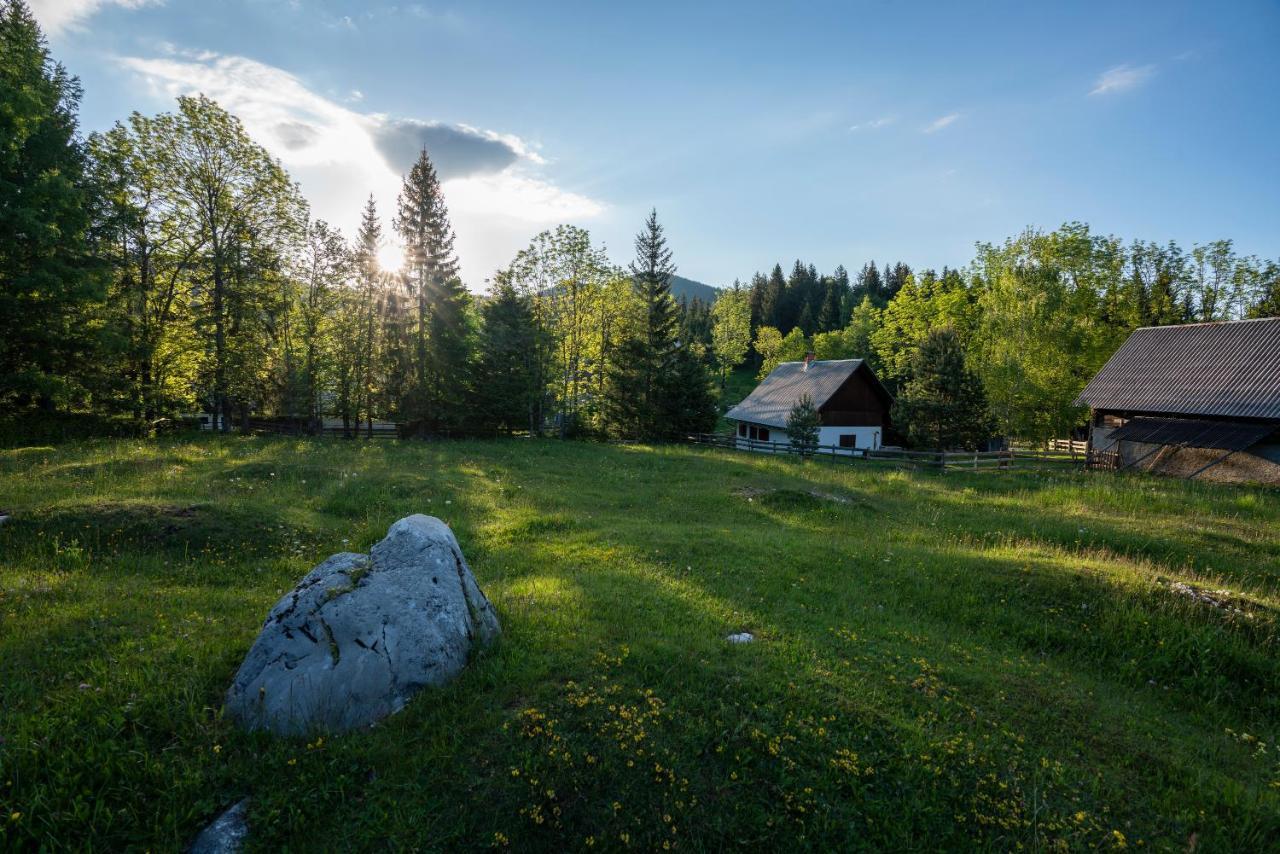 Holiday Home Srednja Vas Средня-Вас-в-Бохиню Экстерьер фото