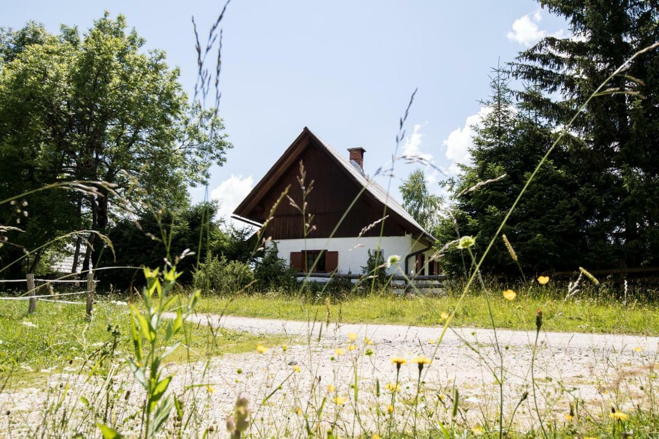 Holiday Home Srednja Vas Средня-Вас-в-Бохиню Экстерьер фото